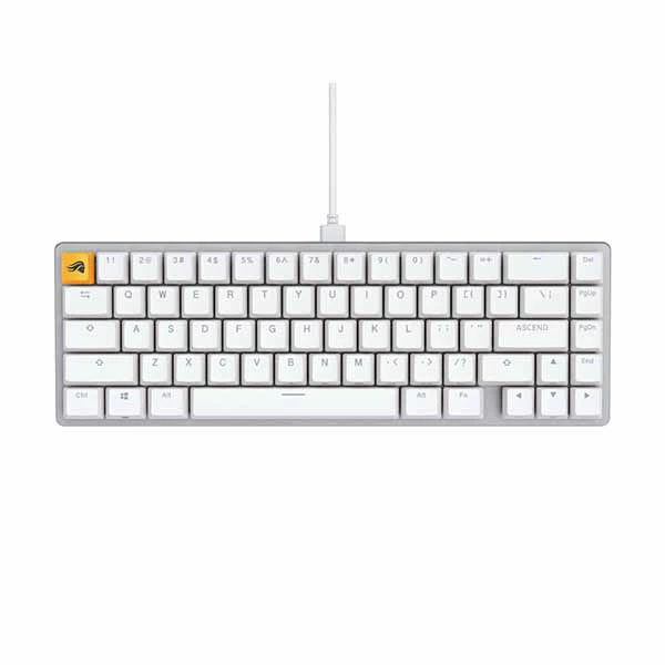【アウトレット特価・新品】Glorious GMMK 2 65% (Pre-Built) - White 65%コンパクトキーボード ホワイト｜GLO-GMMK2-65-FOX-W